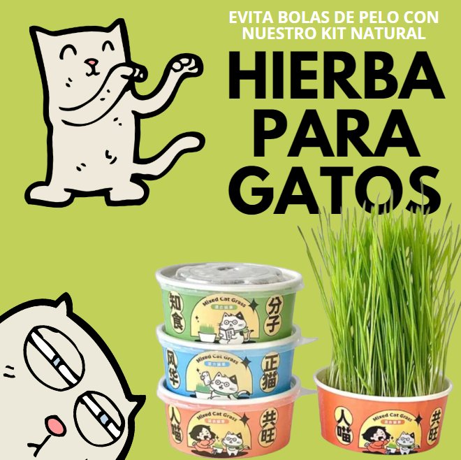 Hierba para gatos - HerbaPurr - Ever Home Colombia